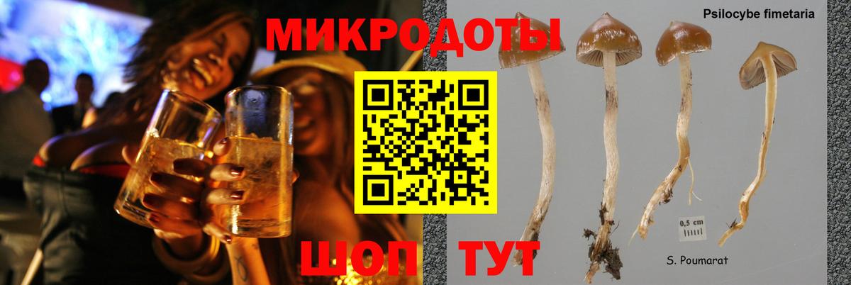 Галлюциногенные грибы Psilocybe  Галлюциногенные грибы GOLDEN TEACHER  Вход с VPN  Майкоп 